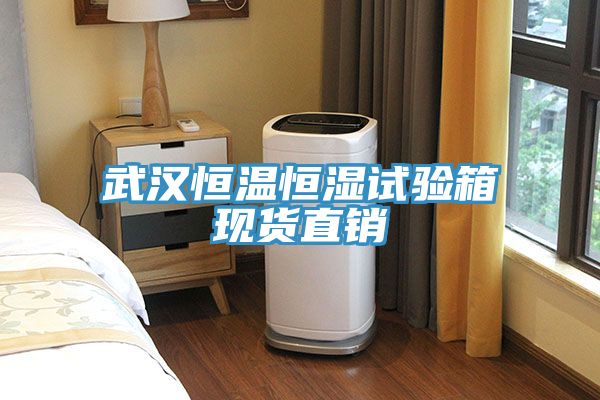 武漢恒溫恒濕試驗箱現貨直銷