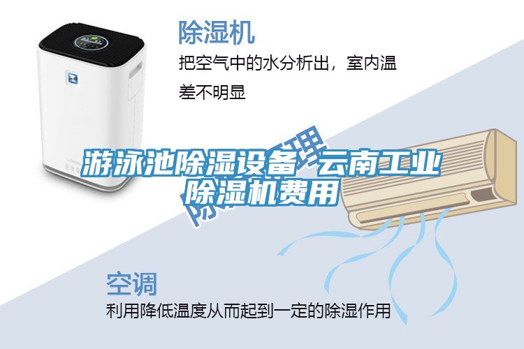 游泳池除濕設(shè)備 云南工業(yè)除濕機費用