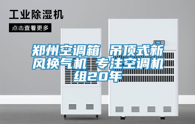 鄭州空調(diào)箱 吊頂式新風(fēng)換氣機 專注空調(diào)機組20年