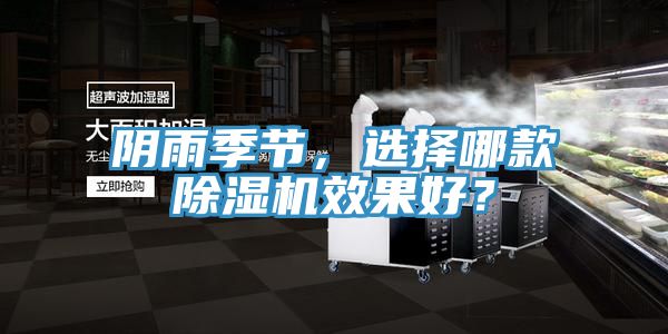 陰雨季節，選擇哪款除濕機效果好？