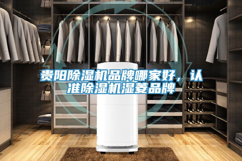 貴陽除濕機品牌哪家好，認(rèn)準(zhǔn)除濕機濕菱品牌