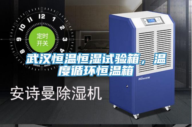 武漢恒溫恒濕試驗箱,溫度循環恒溫箱