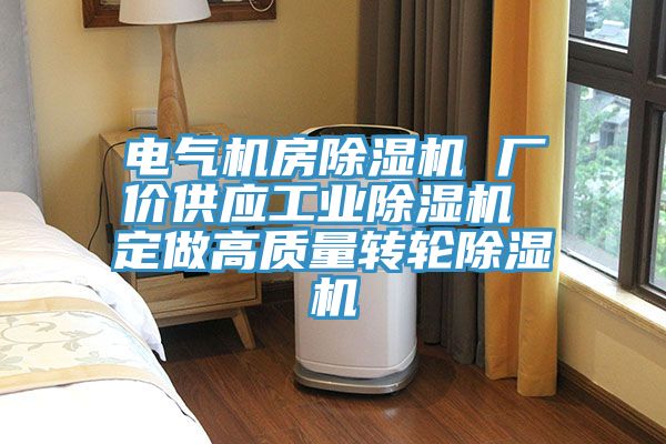 電氣機房除濕機 廠價供應工業除濕機 定做高質量轉輪除濕機