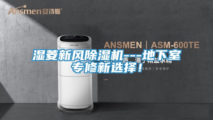 濕菱新風除濕機---地下室專修新選擇！