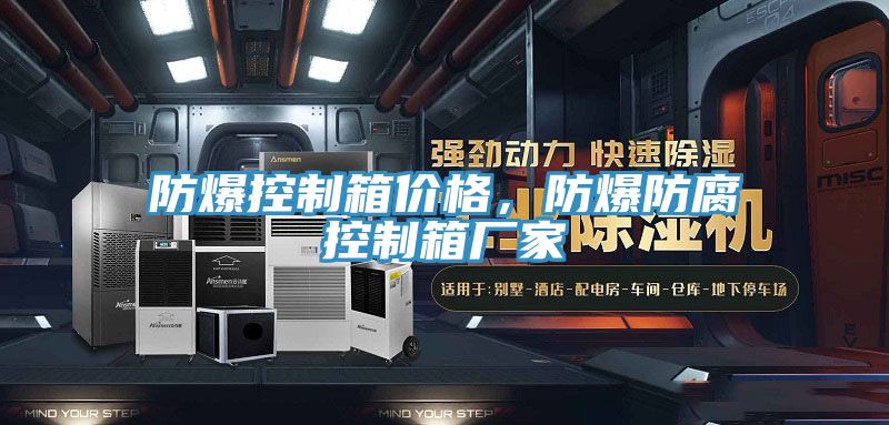 防爆控制箱價格，防爆防腐控制箱廠家