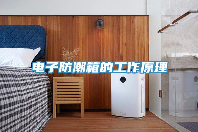 電子防潮箱的工作原理