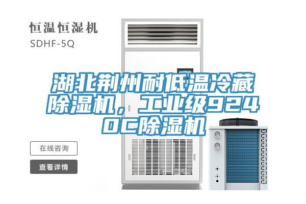 湖北荊州耐低溫冷藏除濕機，工業級9240C除濕機