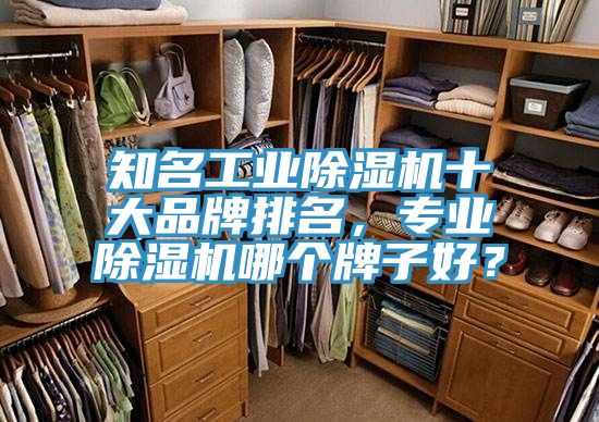 知名工業除濕機十大品牌排名,專業除濕機哪個牌子好?