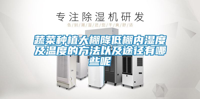 蔬菜種植大棚降低棚內濕度及溫度的方法以及途徑有哪些呢