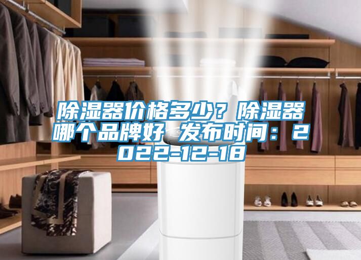 除濕器價格多少？除濕器哪個品牌好 發布時間：2022-12-18