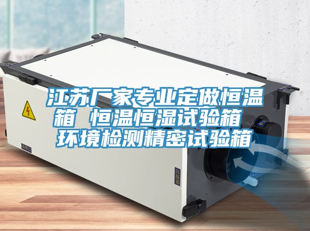 江蘇廠家專業(yè)定做恒溫箱 恒溫恒濕試驗(yàn)箱 環(huán)境檢測(cè)精密試驗(yàn)箱