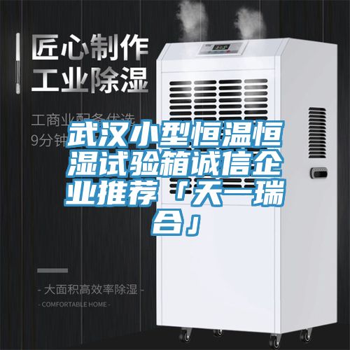 武漢小型恒溫恒濕試驗箱誠信企業推薦「天一瑞合」
