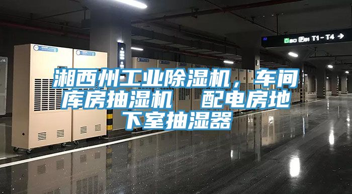 湘西州工業除濕機,車間庫房抽濕機 配電房地下室抽濕器