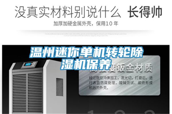 溫州迷你單機轉輪除濕機保養(yǎng)