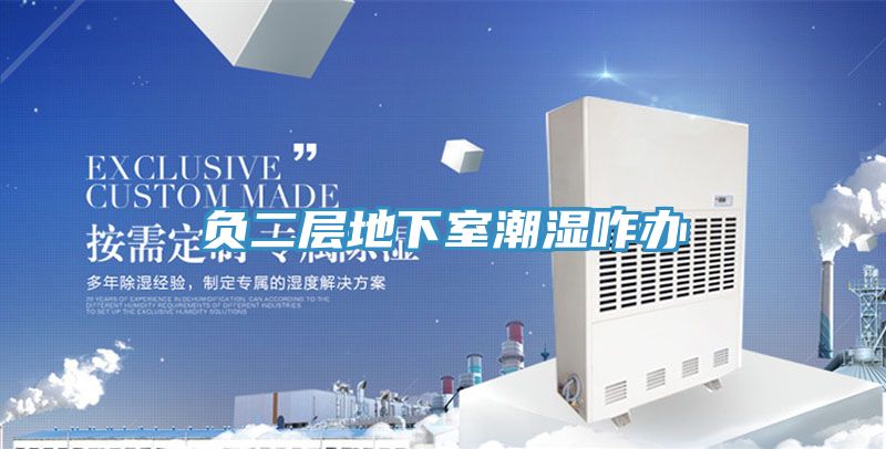 負二層地下室潮濕咋辦