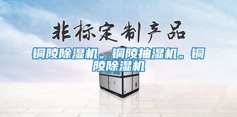 銅陵除濕機。銅陵抽濕機。銅陵除濕機