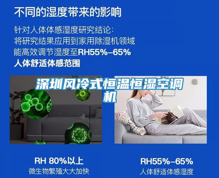 深圳風冷式恒溫恒濕空調機