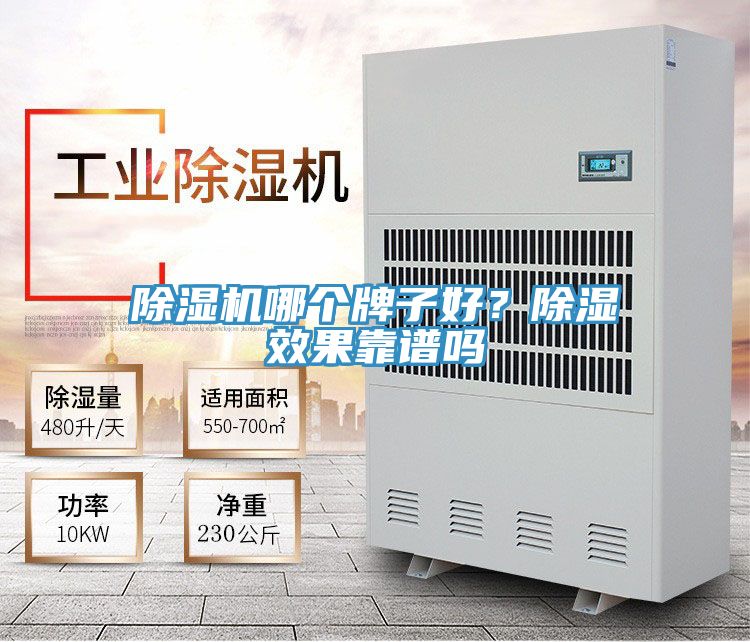 除濕機哪個牌子好？除濕效果靠譜嗎