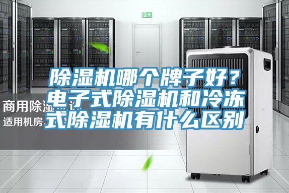 除濕機哪個牌子好？電子式除濕機和冷凍式除濕機有什么區別