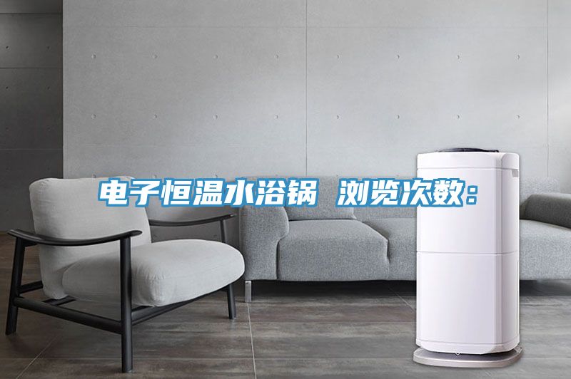 電子恒溫水浴鍋　　瀏覽次數：