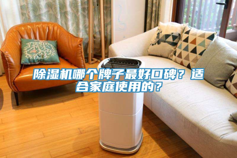 除濕機哪個牌子最好口碑？適合家庭使用的？