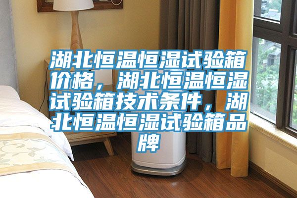 湖北恒溫恒濕試驗箱價格,湖北恒溫恒濕試驗箱技術條件,湖北恒溫恒濕試驗箱品牌