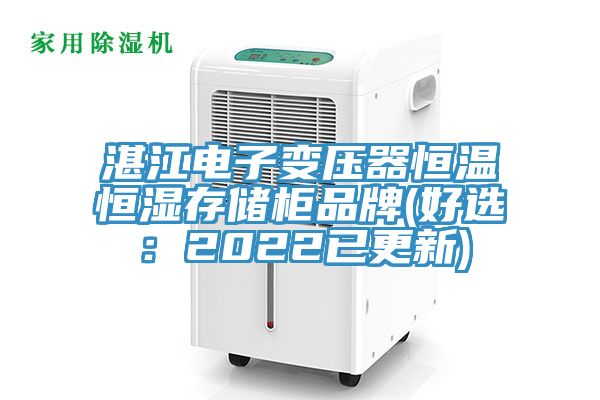 湛江電子變壓器恒溫恒濕存儲柜品牌(好選:2022已更新)