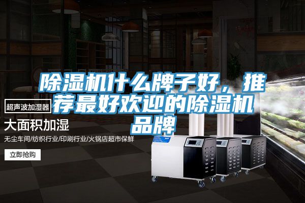 除濕機什么牌子好，推薦最好歡迎的除濕機品牌