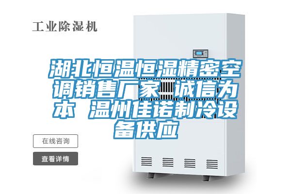 湖北恒溫恒濕精密空調(diào)銷售廠家 誠信為本 溫州佳諾制冷設備供應