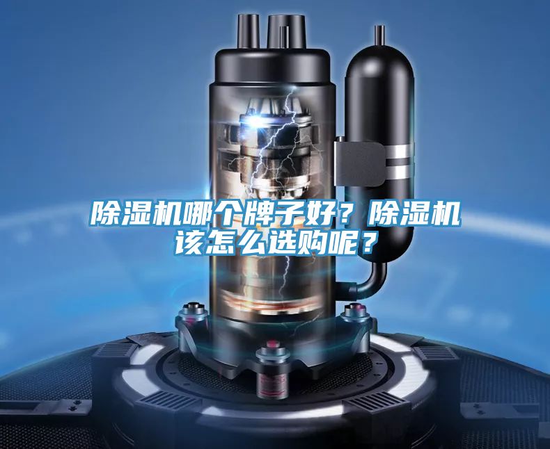 除濕機哪個牌子好？除濕機該怎么選購呢？