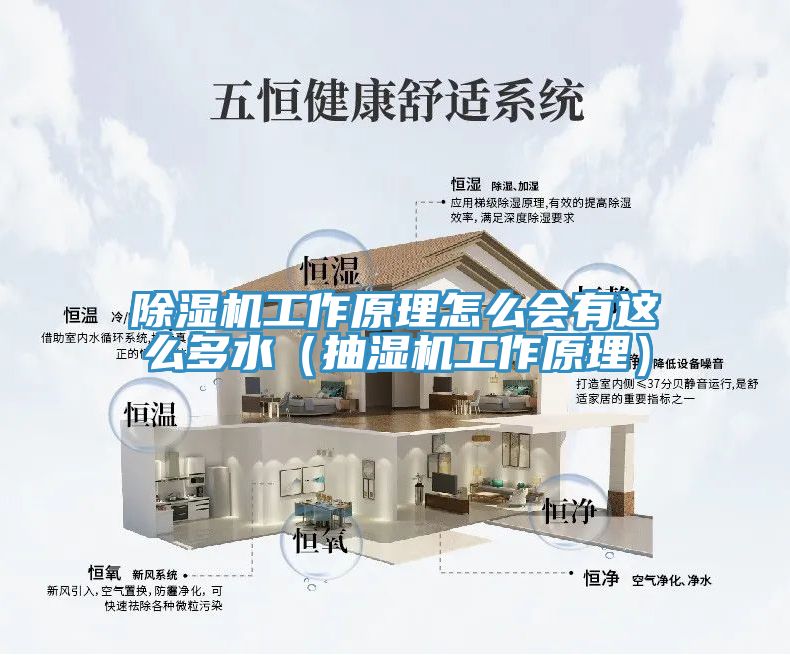 除濕機工作原理怎么會有這么多水(抽濕機工作原理)