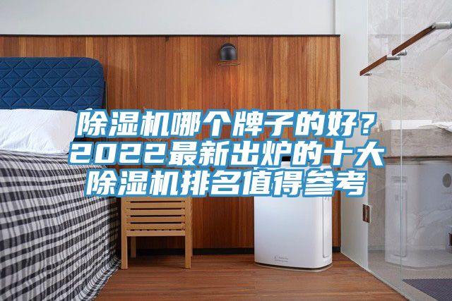 除濕機哪個牌子的好?2022最新出爐的十大除濕機排名值得參考