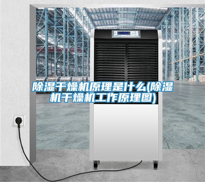 除濕干燥機原理是什么(除濕機干燥機工作原理圖)