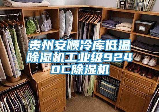 貴州安順冷庫低溫除濕機(jī)工業(yè)級9240C除濕機(jī)