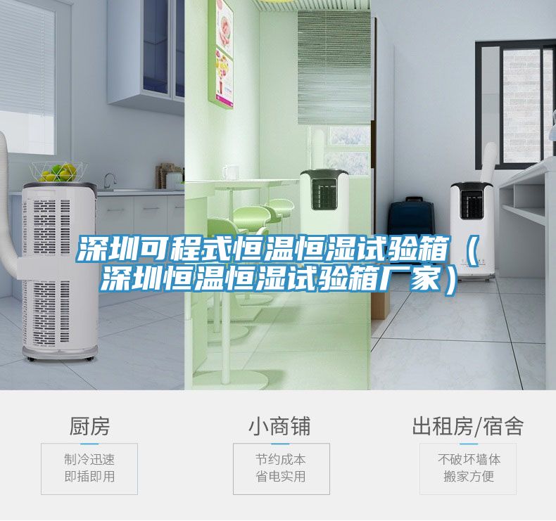 深圳可程式恒溫恒濕試驗箱(深圳恒溫恒濕試驗箱廠家)