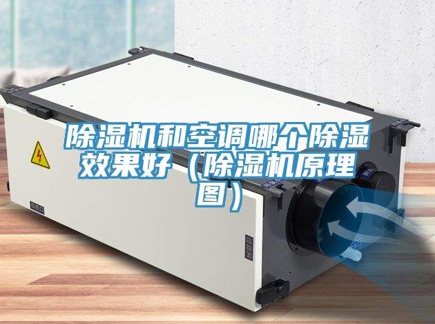 除濕機和空調哪個除濕效果好(除濕機原理圖)