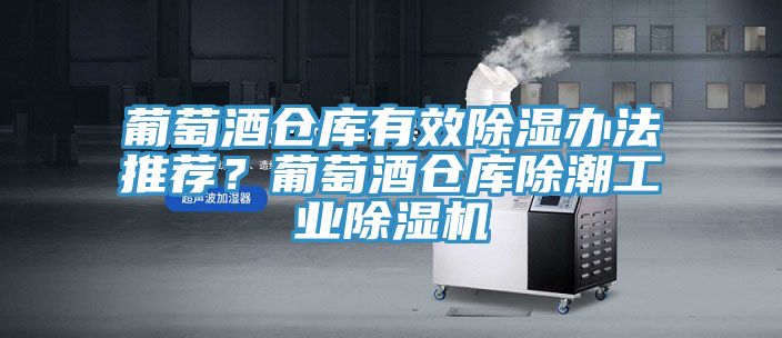 葡萄酒倉(cāng)庫(kù)有效除濕辦法推薦？葡萄酒倉(cāng)庫(kù)除潮工業(yè)除濕機(jī)