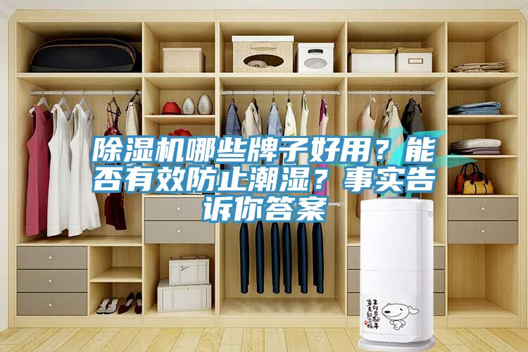 除濕機哪些牌子好用?能否有效防止潮濕?事實告訴你答案