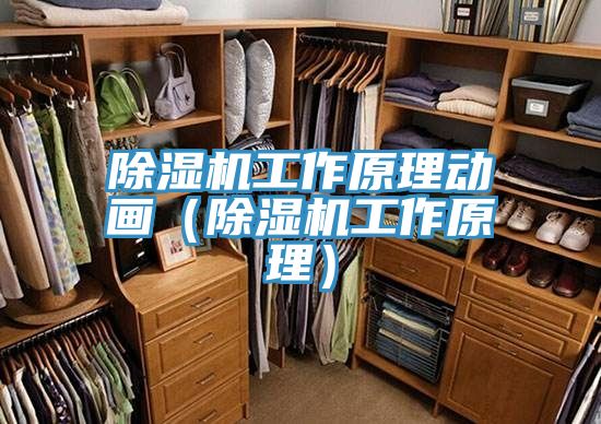 除濕機工作原理動畫(除濕機工作原理)