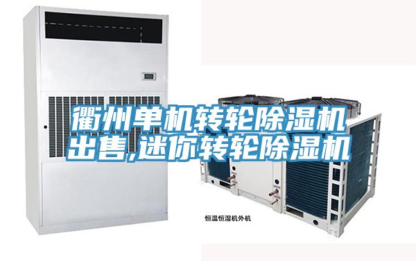 衢州單機轉輪除濕機出售,迷你轉輪除濕機