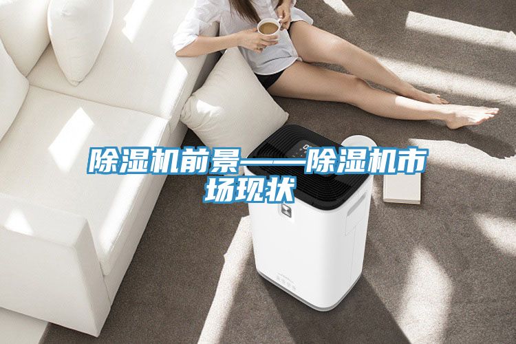 除濕機前景——除濕機市場現狀