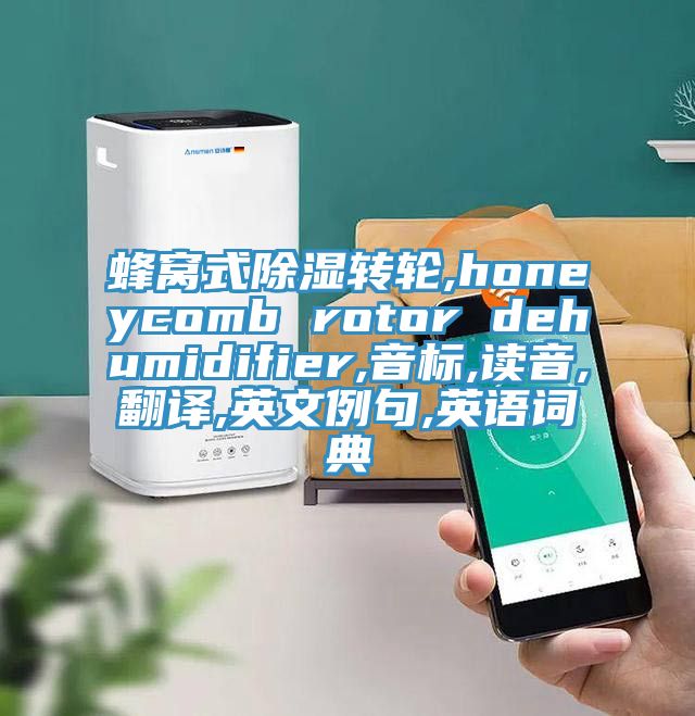 蜂窩式除濕轉(zhuǎn)輪,honeycomb rotor dehumidifier,音標(biāo),讀音,翻譯,英文例句,英語詞典