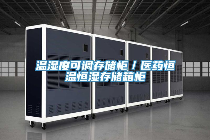 溫濕度可調存儲柜/醫藥恒溫恒濕存儲箱柜