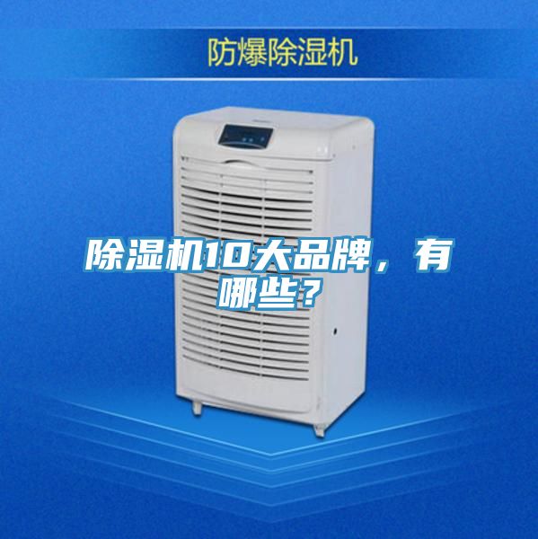 除濕機10大品牌，有哪些？