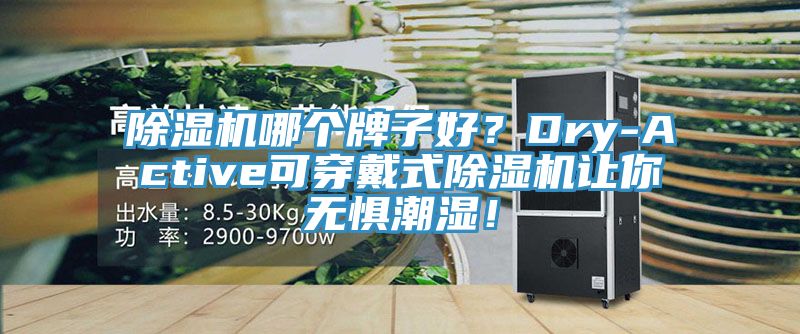 除濕機哪個牌子好?Dry-Active可穿戴式除濕機讓你無懼潮濕!