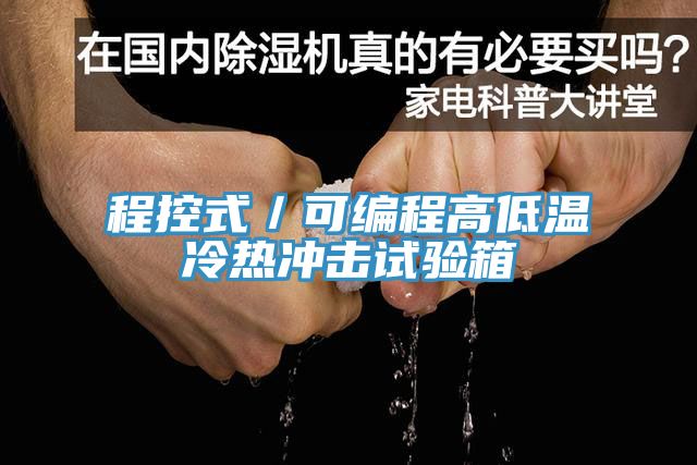 程控式／可編程高低溫冷熱沖擊試驗(yàn)箱