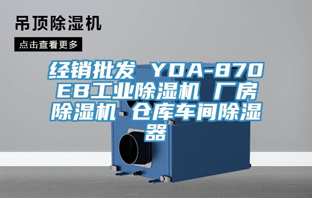 經銷批發 YDA-870EB工業除濕機 廠房除濕機 倉庫車間除濕器