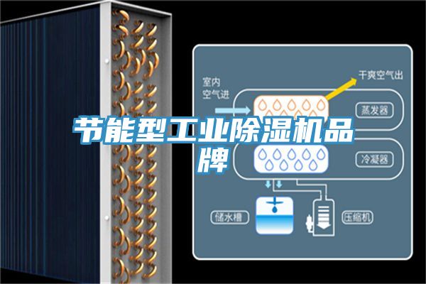 節(jié)能型工業(yè)除濕機(jī)品牌