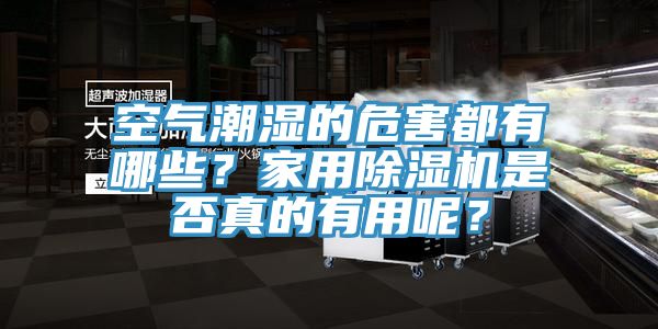 空氣潮濕的危害都有哪些？家用除濕機是否真的有用呢？