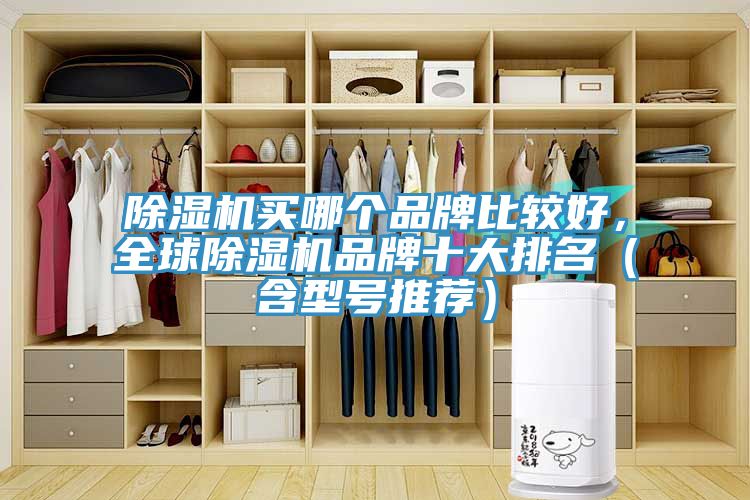 除濕機(jī)買哪個品牌比較好，全球除濕機(jī)品牌十大排名（含型號推薦）